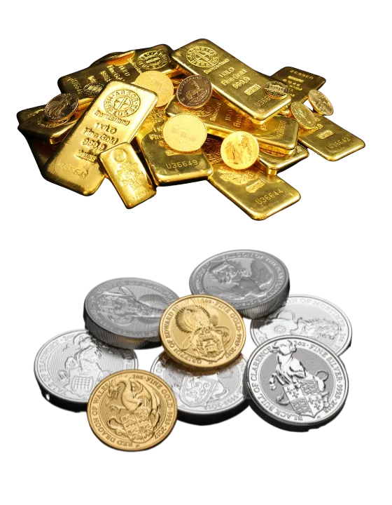 Gold Bars and SG Coins