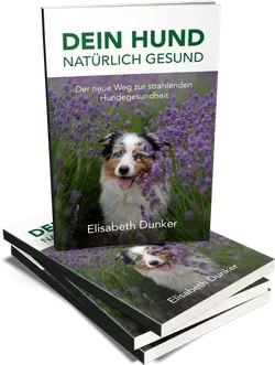 Dein Hund natürlich gesund - Buch