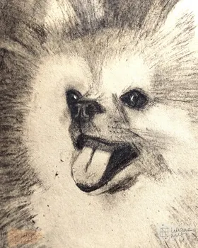 Zookromía - Carboncillo - Pelitos