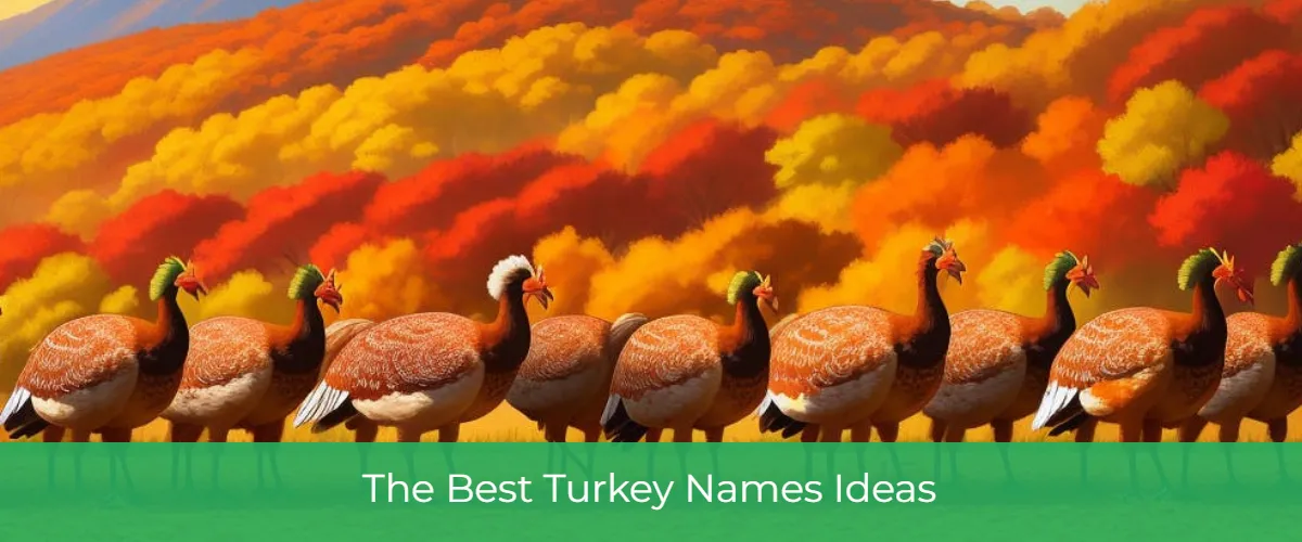 turkey names