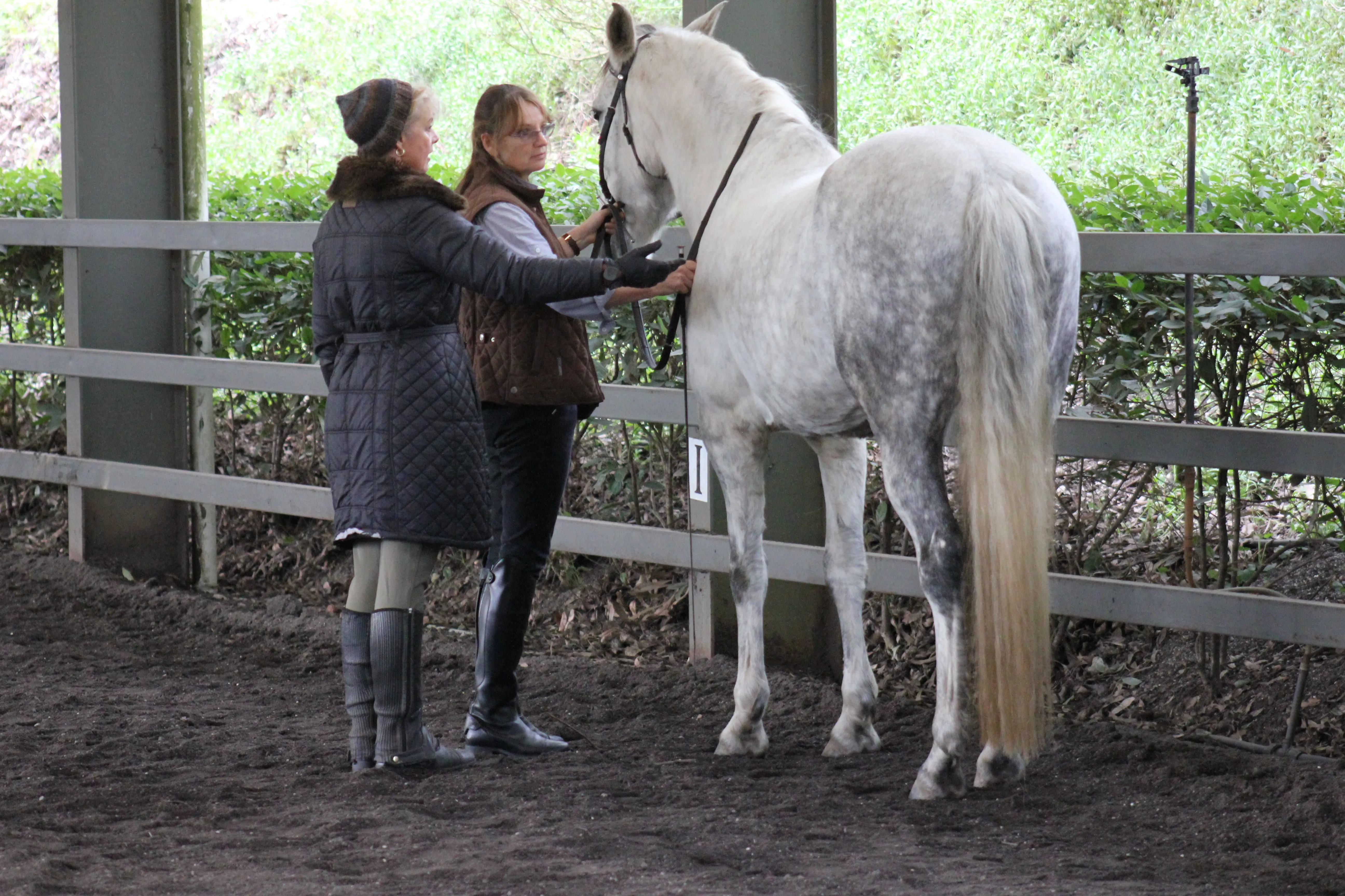 Leanne guiding a rider through walking her horse in-hand around our indoor arena