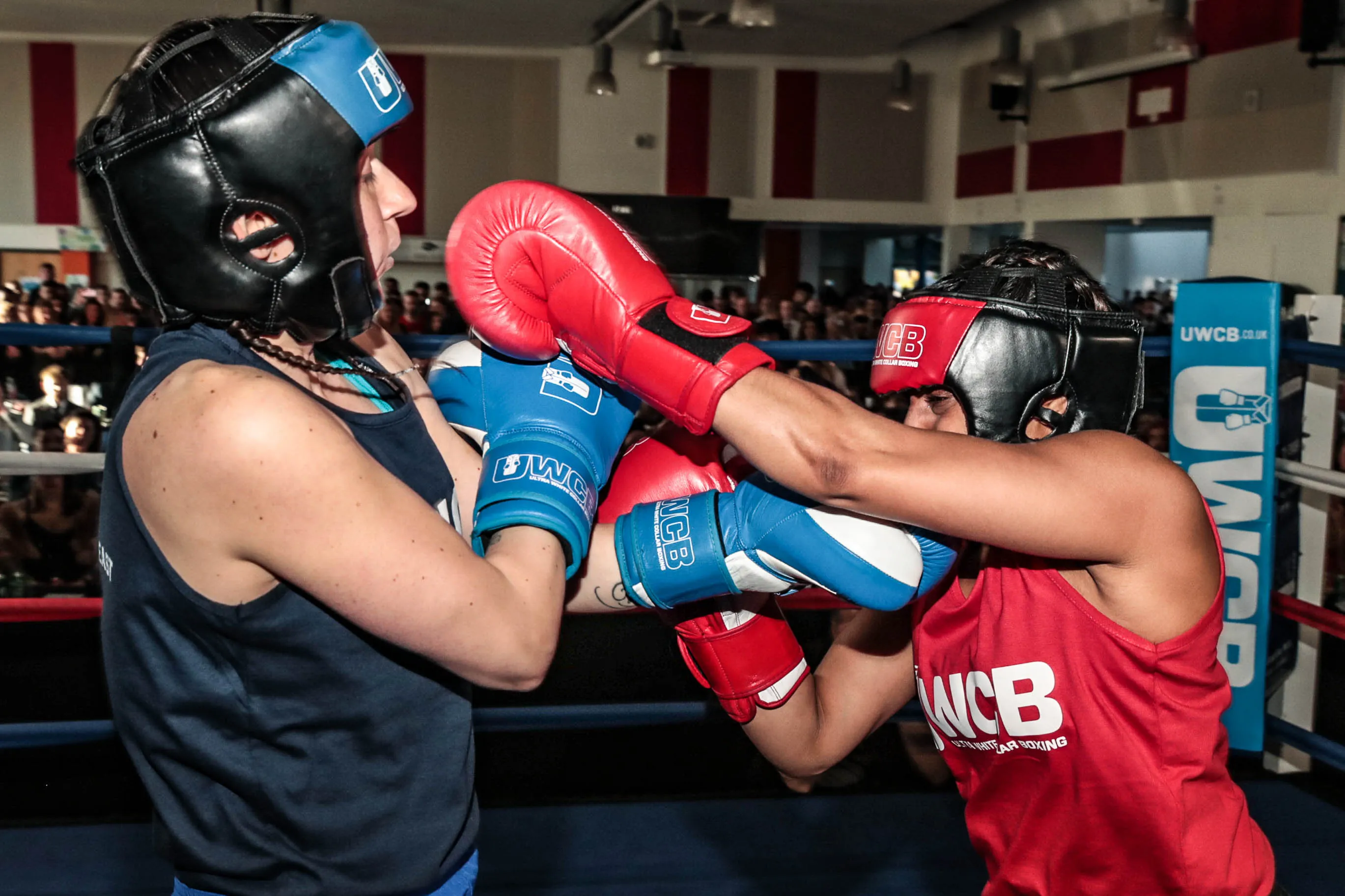 ultra white collar boxing