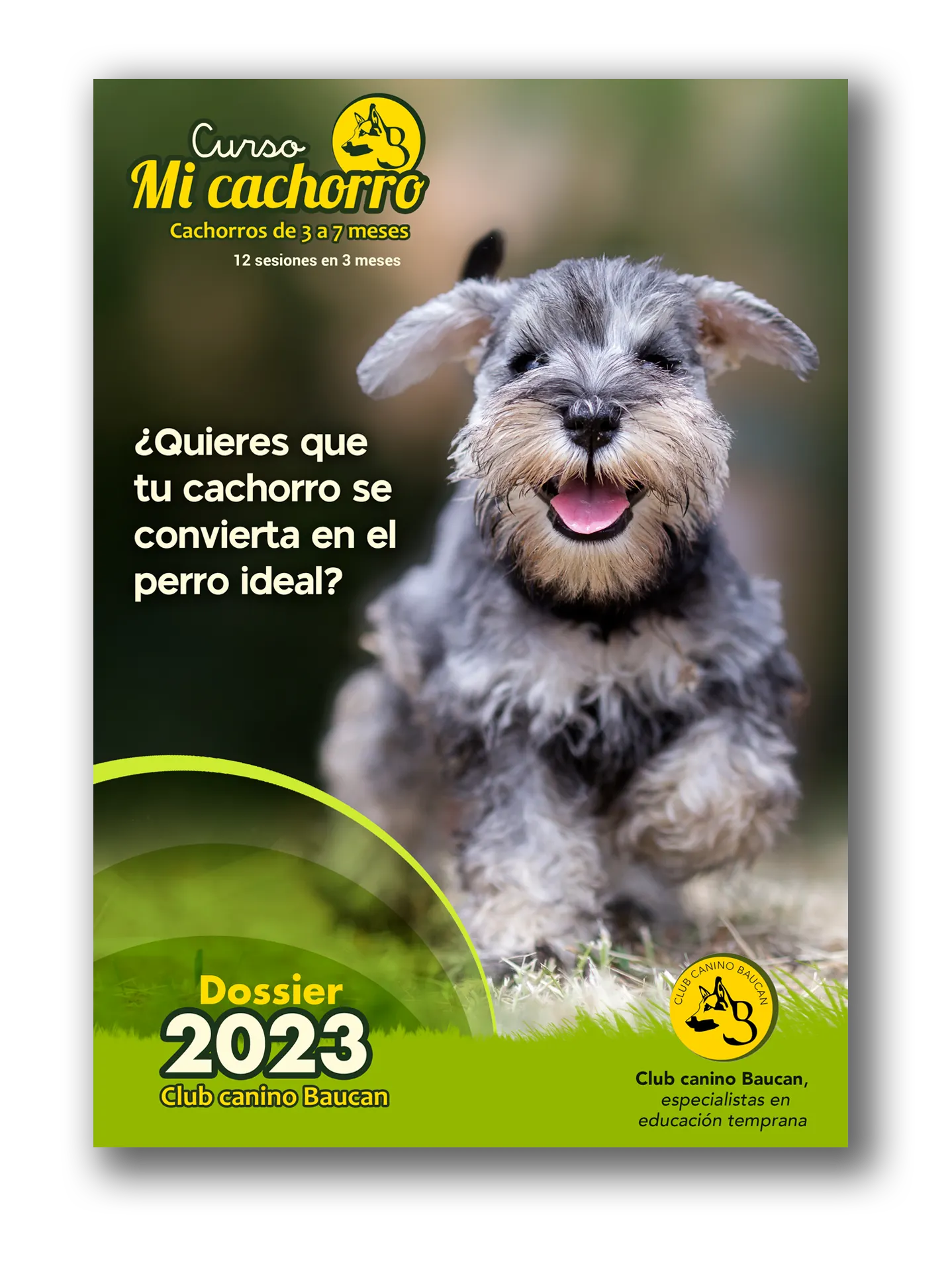 Dossier curso Mi Cachorro