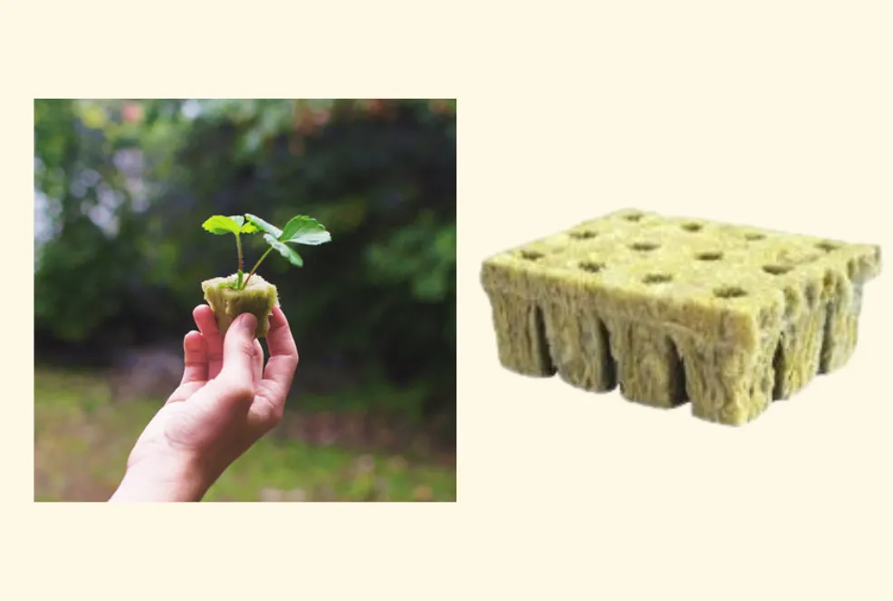 Rockwool cubes and a seedling in a rockwool cube for Tower Garden vertical hydroponic gardening