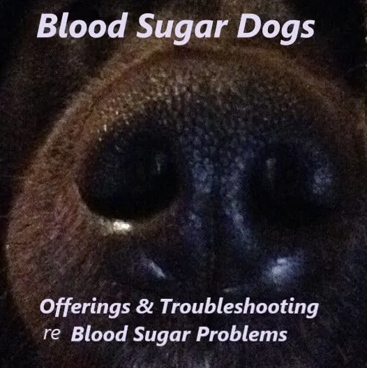BloodSugarDog Logo