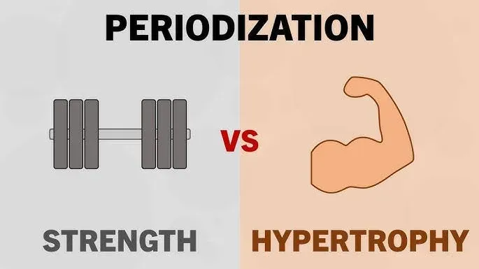 Periodization of Strength and Hypertrophy Training