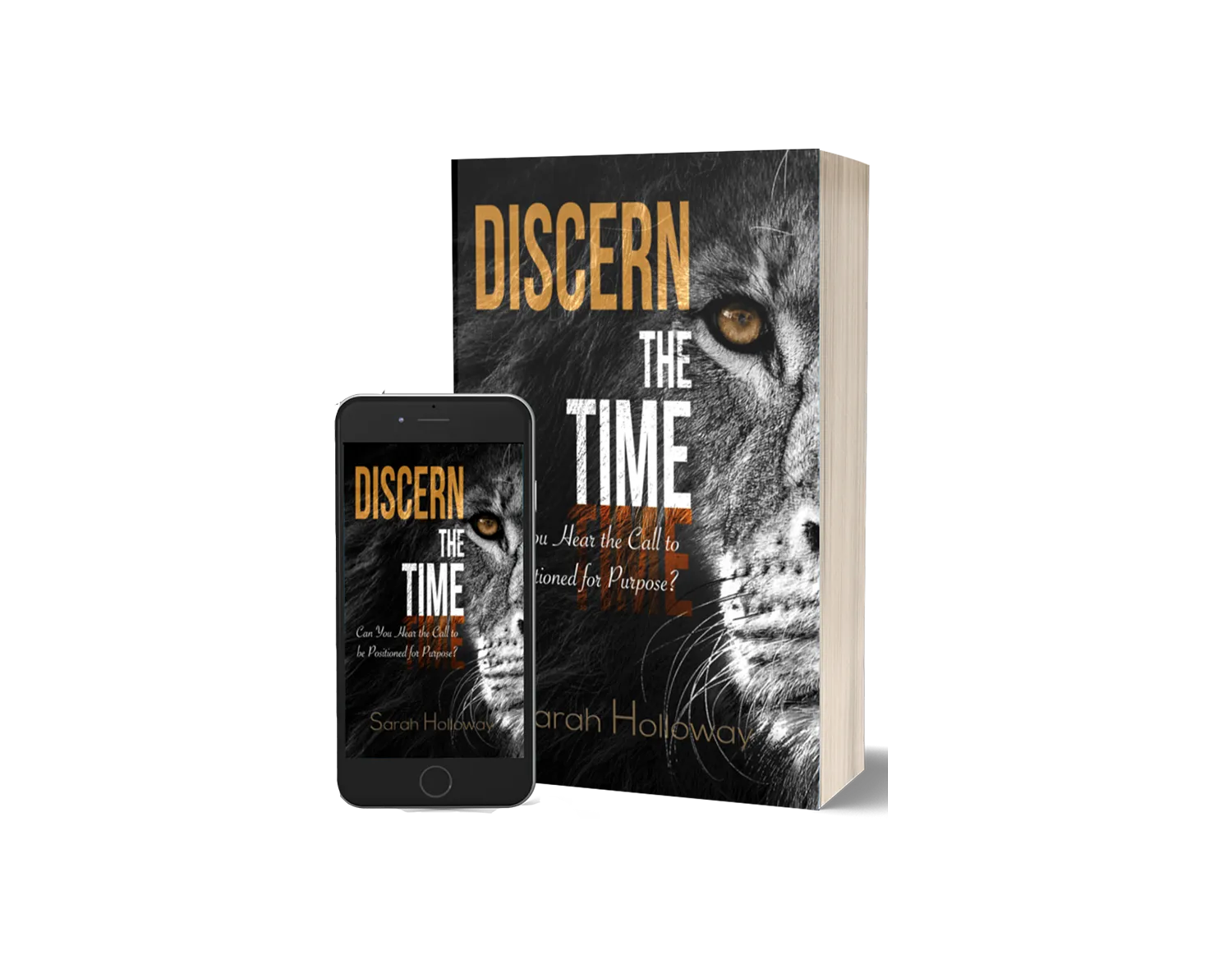 Discern the Time book
