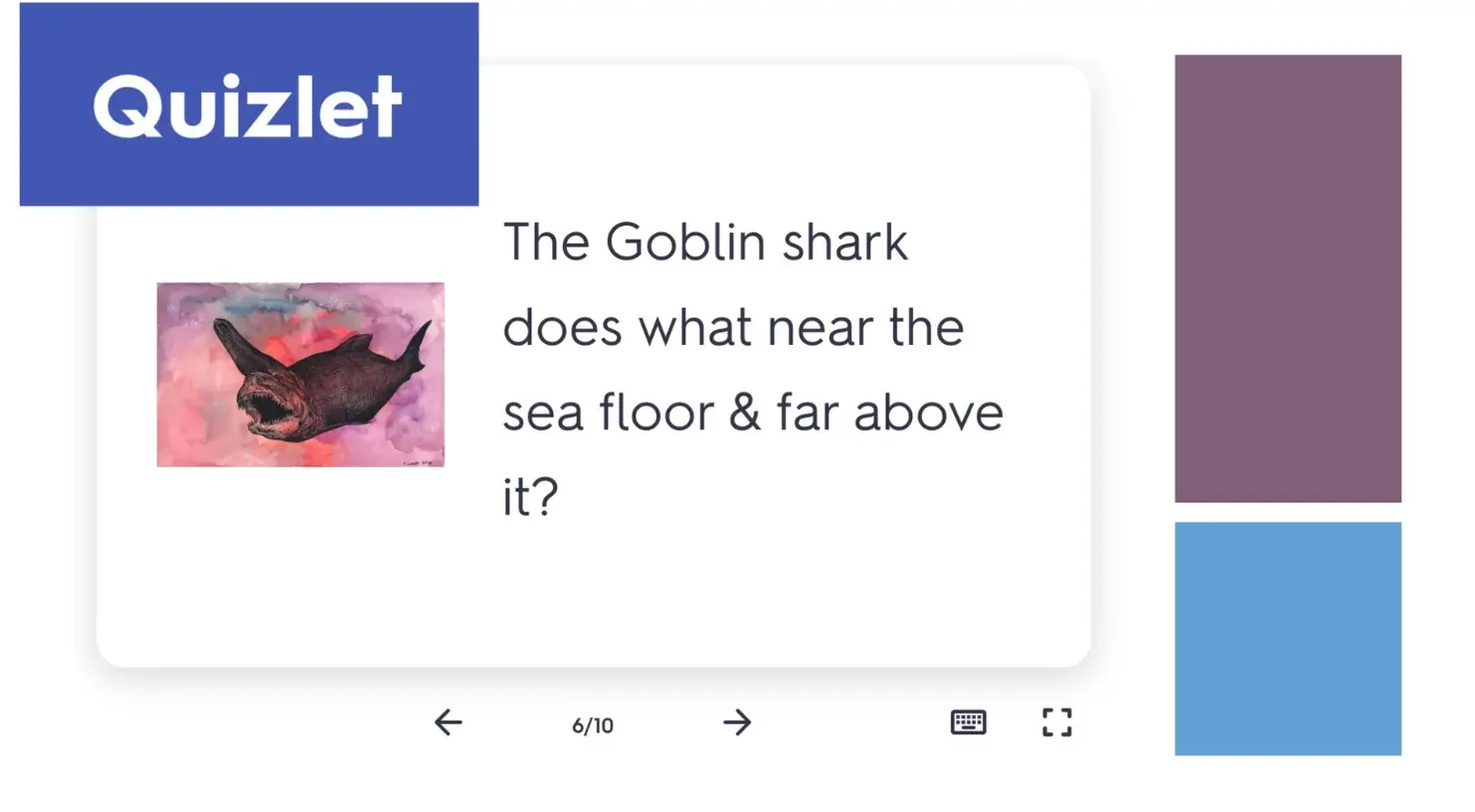 Bonus Deep-sea Creature Quizlet Games