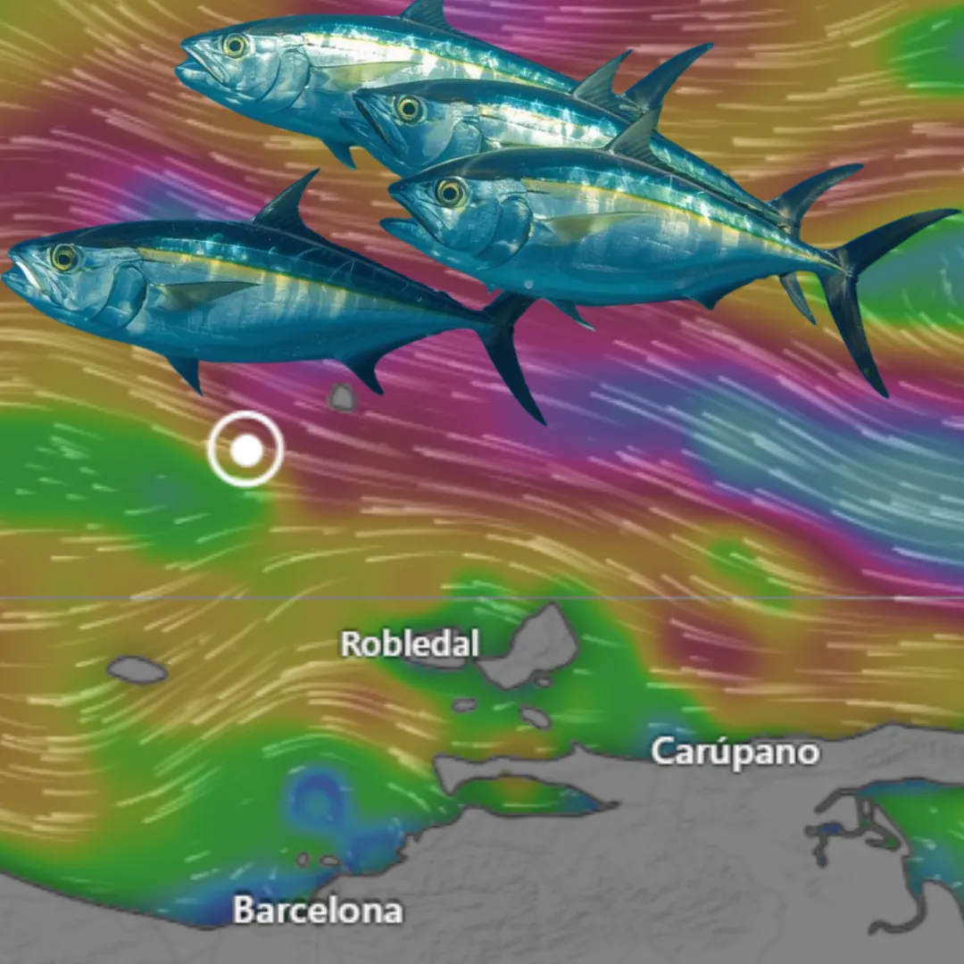 localizacion de atun via satelite