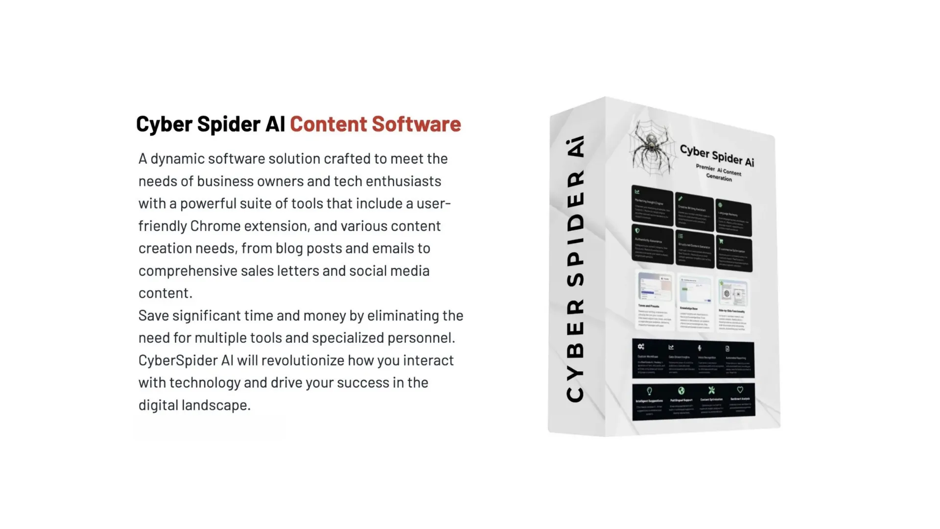 CyberSpider.ai