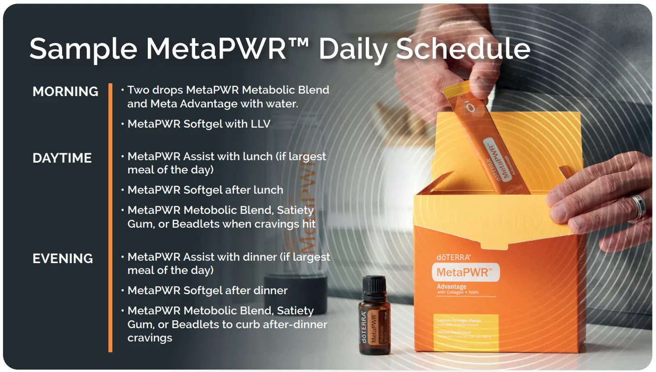 MetaPWR Sample Daily Schedule