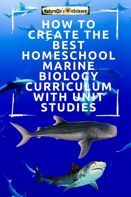 How To Do A Homeschool Marine Biology Curriculum Unit Study