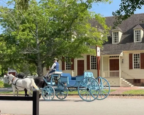 The Madison carriage being pulled by Colonial Williamsburg horses Brigadier and General