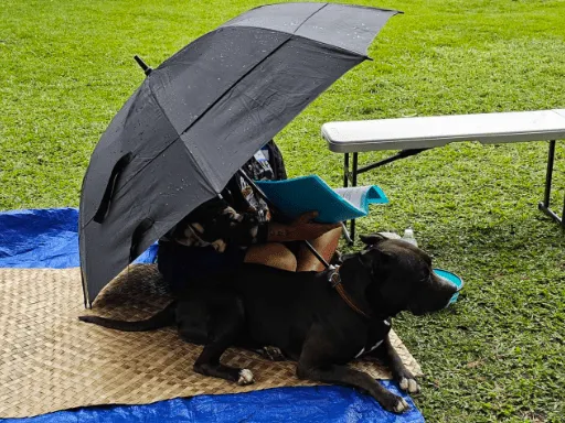 1. Praise and worship under an umbrella and with her dog 512x384