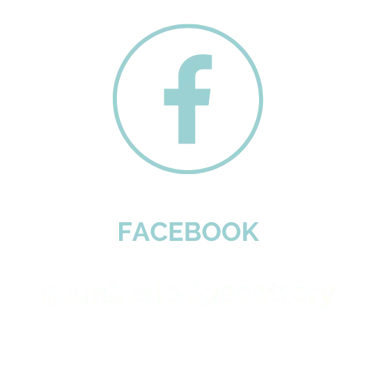Ambelodge Facebook