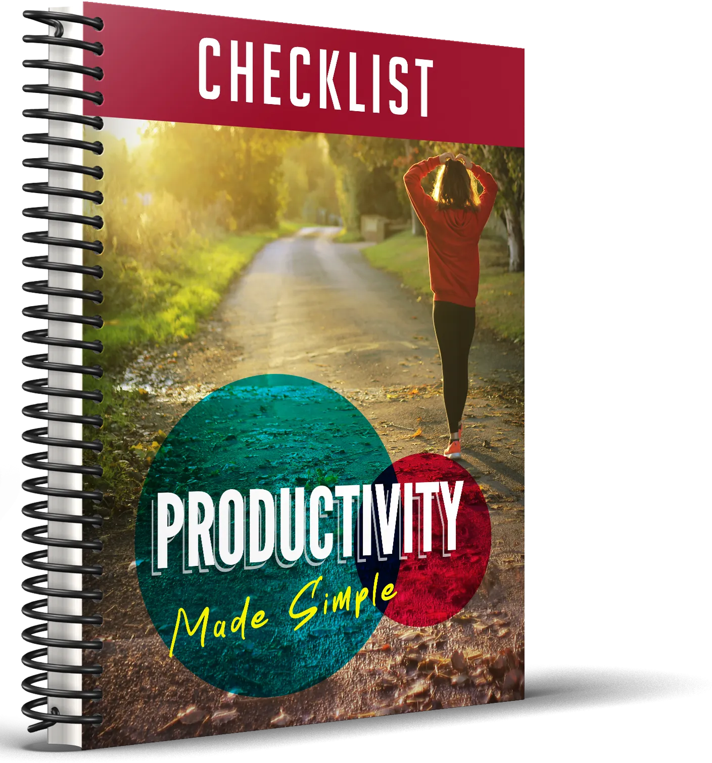 Productivity Made Simple premium guide