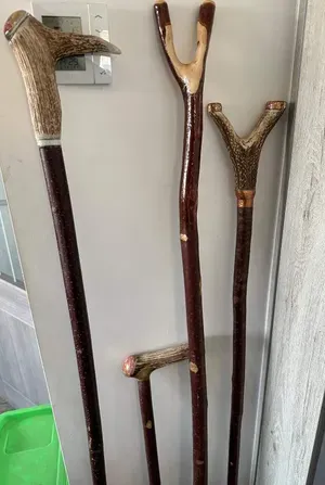 Handcrafted Walking Sticks