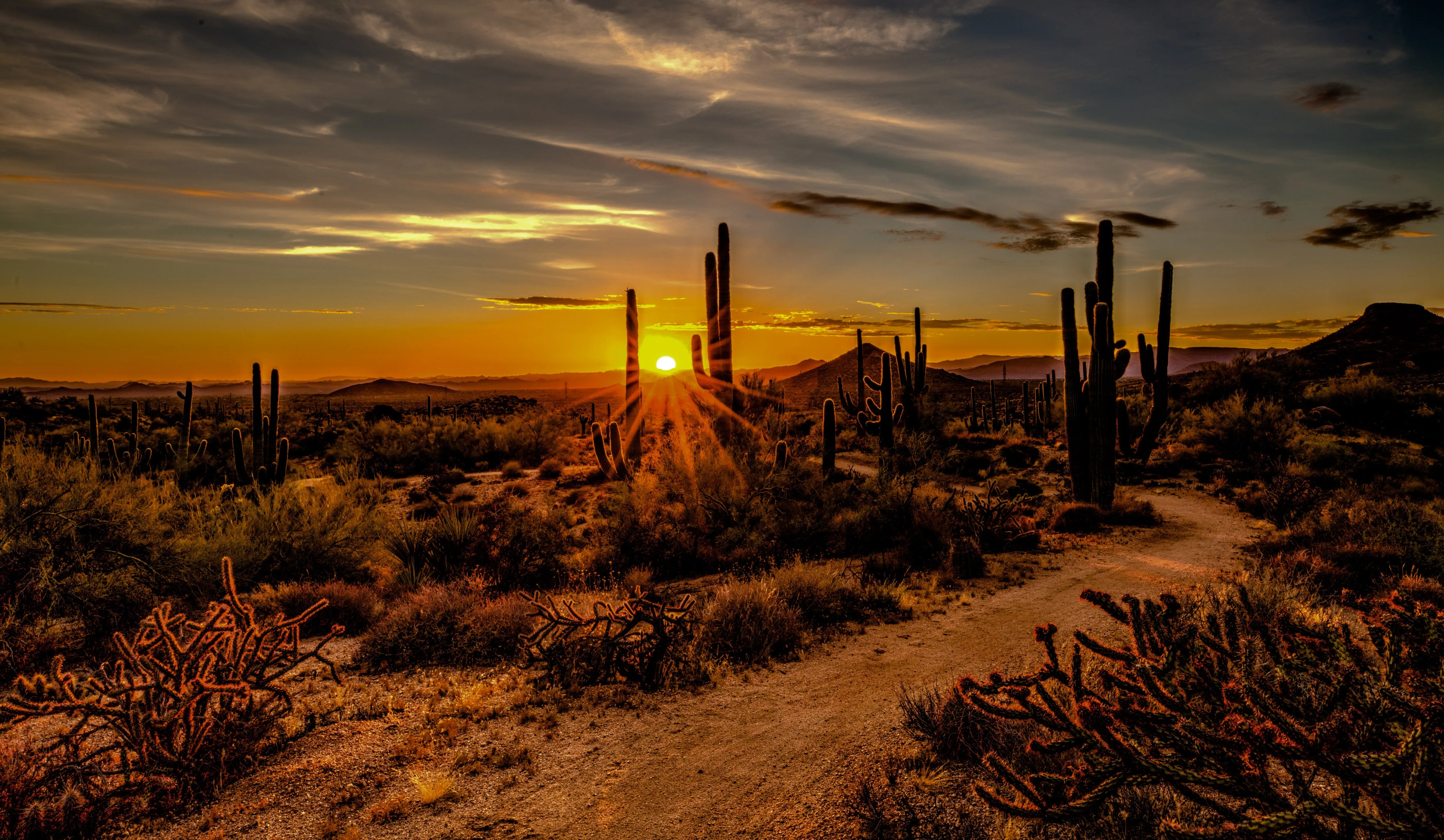 Experience the Desert Oasis: Scottsdale, Where Adventure Meets Luxury!