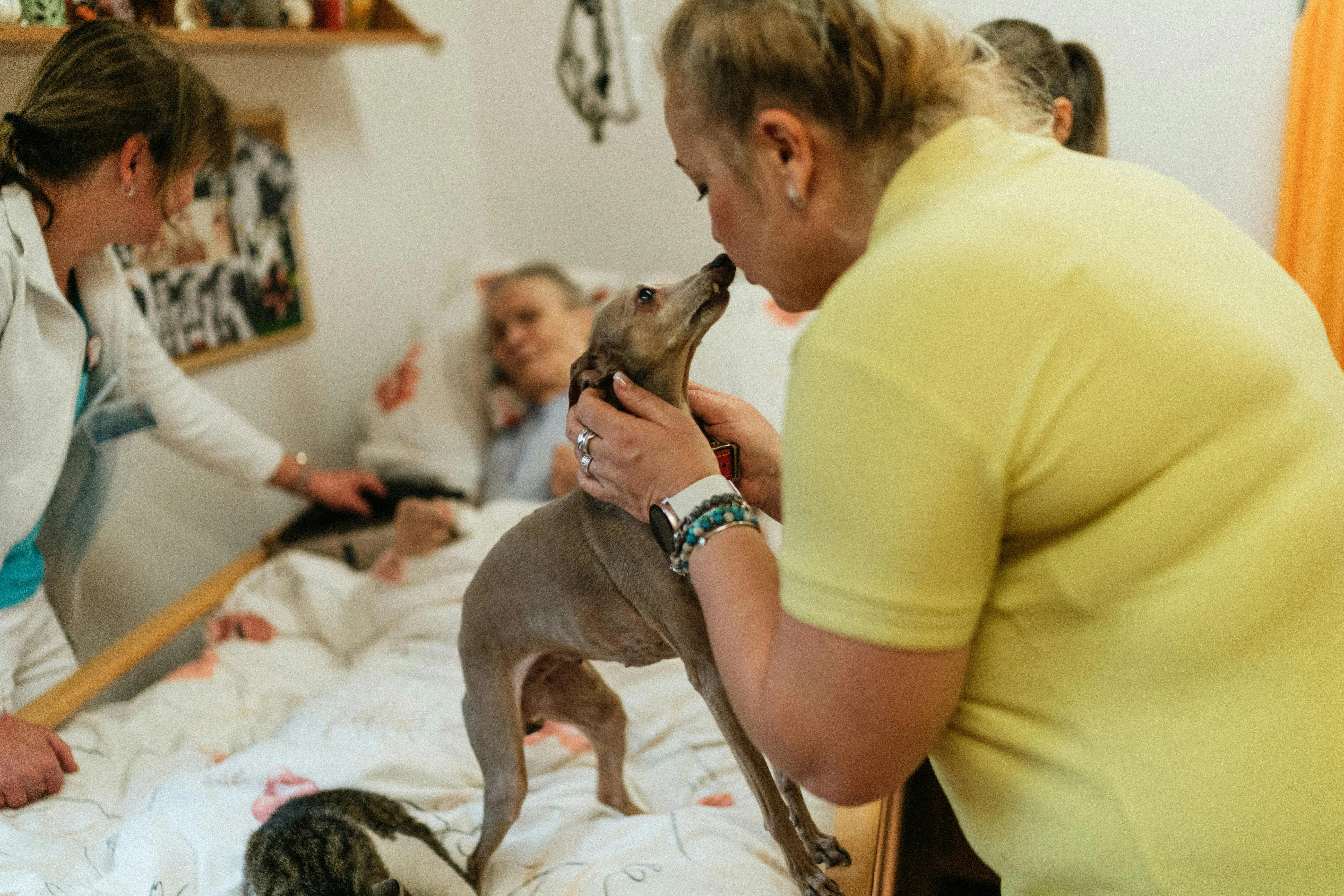 Therapy dog interacting gently with patient in care setting, providing comfort and emotional support