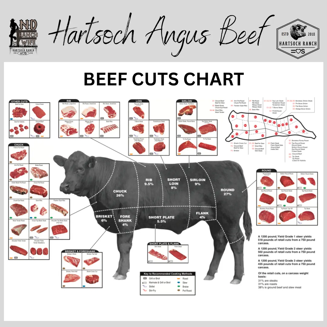 beef cuts chart