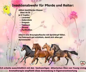 Insektenabwehr Pferd und Reiter