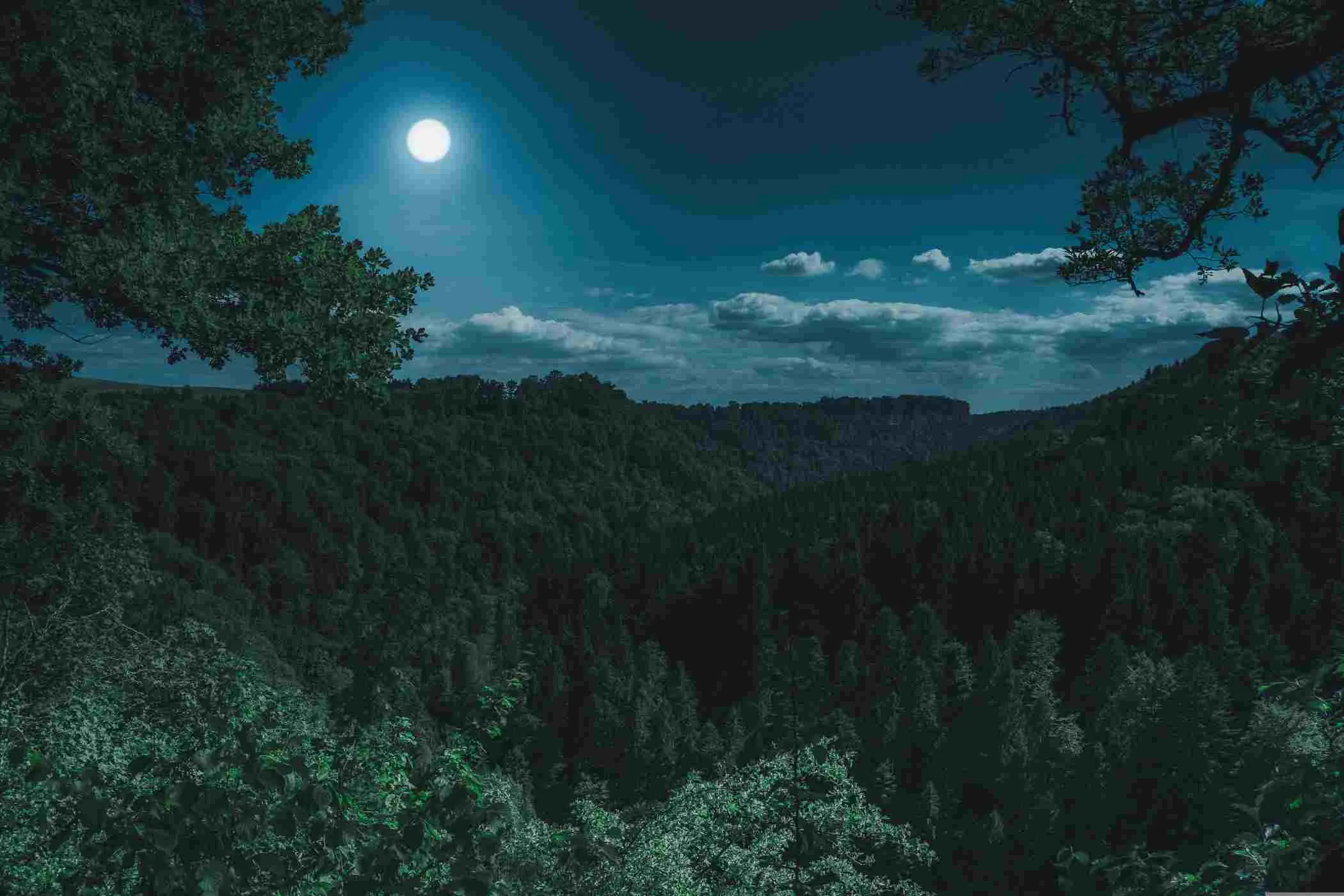Moonlight view