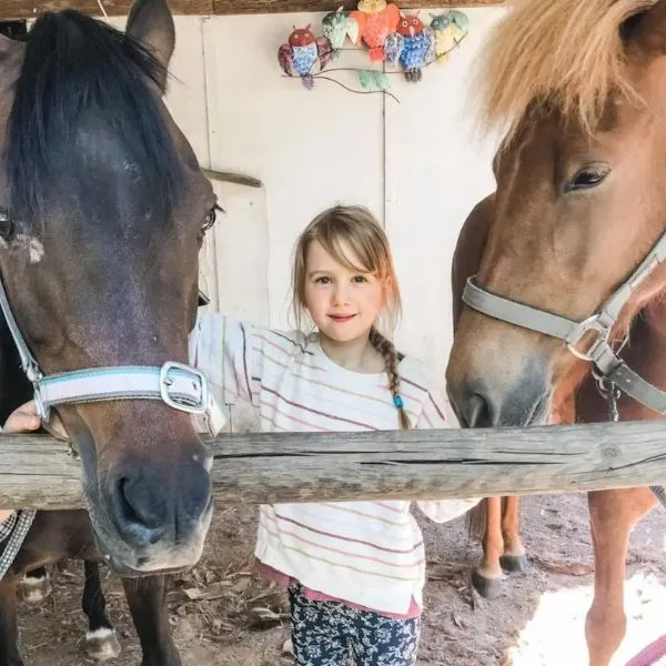 Nurture Creek Family Farm Stay Melbourne Victoria Horse Experience