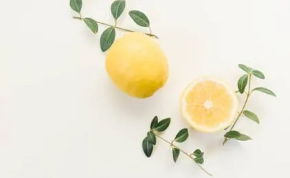 Lemon and eucalyptus