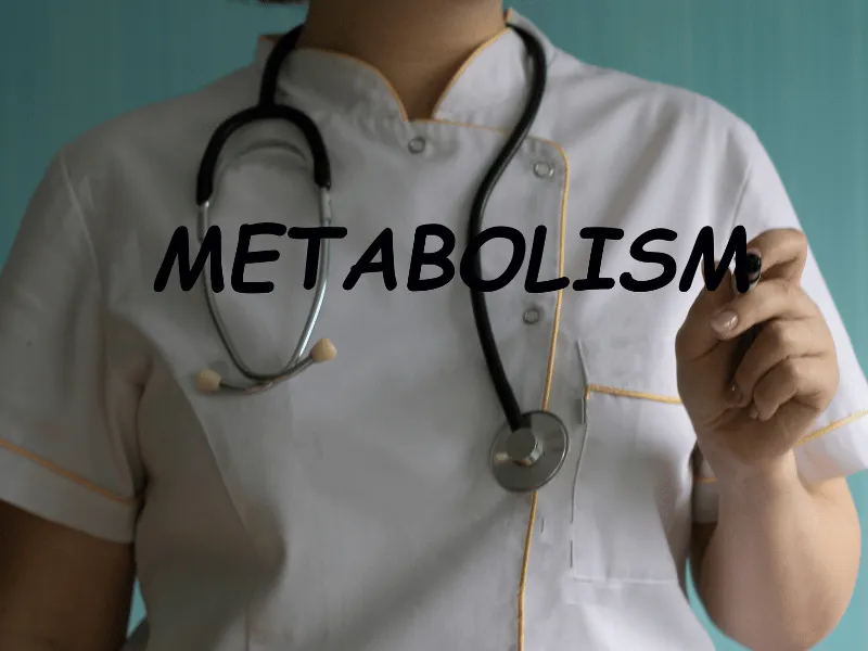 doctor and metabolism word