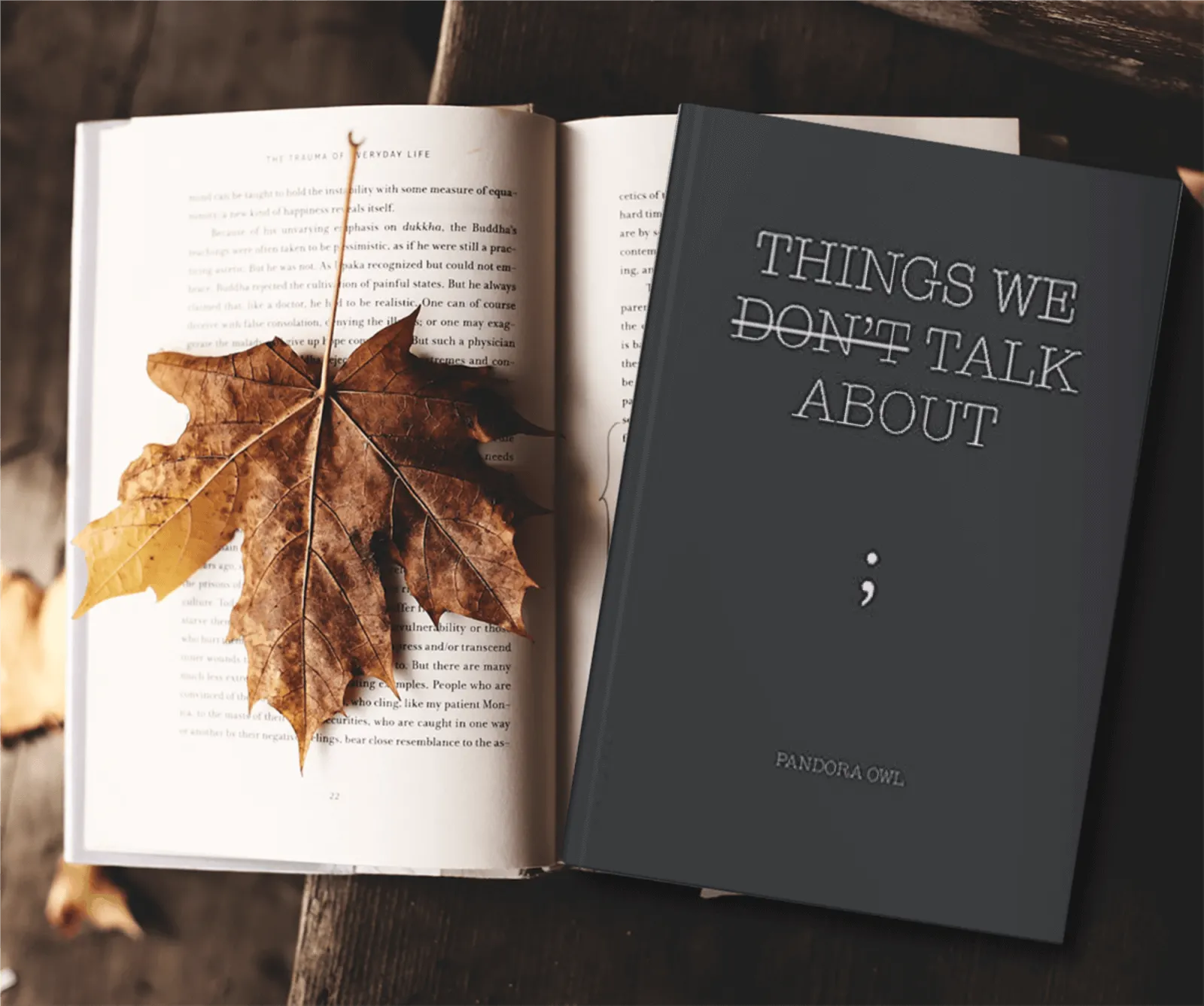things we don't talk about poetry book