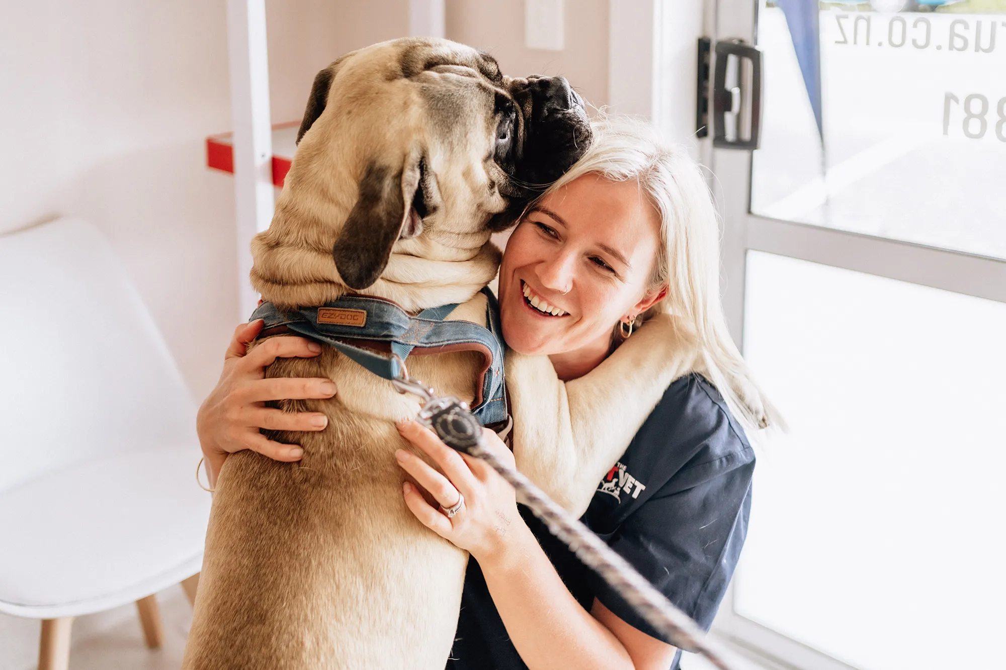 Pet Vet female staff member cuddling large dog