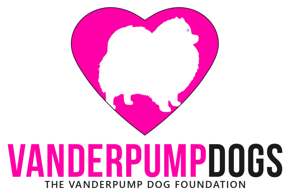 The VanderPump Dog Foundation