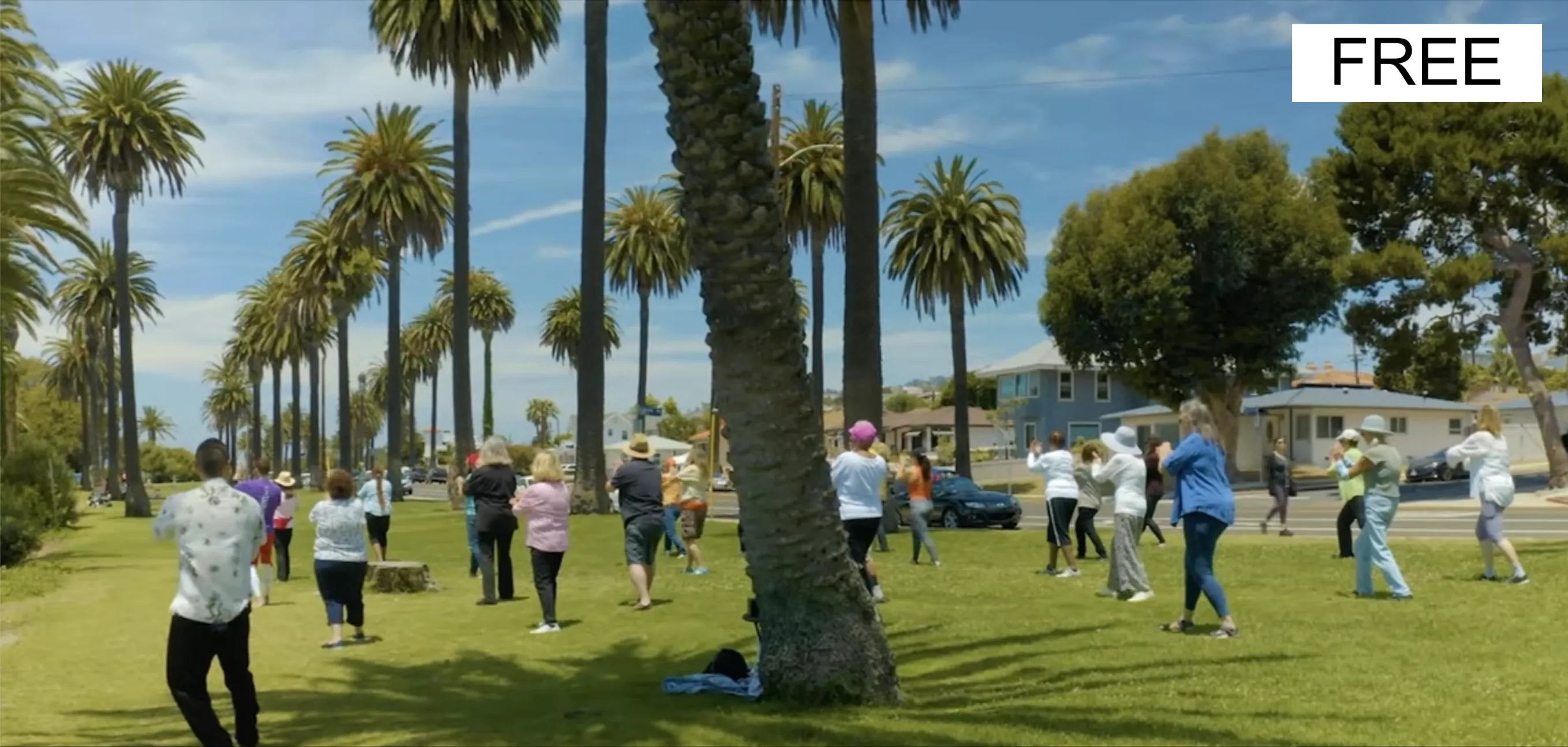 free tai chi for beginners group in san pedro