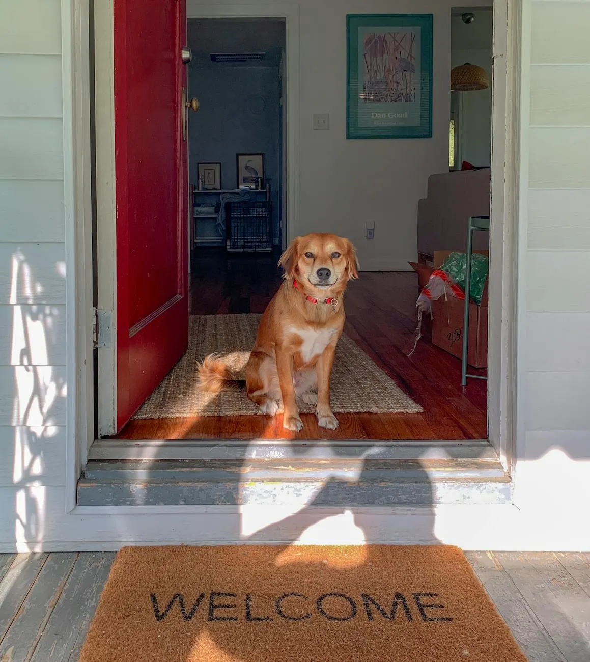 A puppy sitting calmly at a front door with Newman's Dog Training mobile puppy training near me.