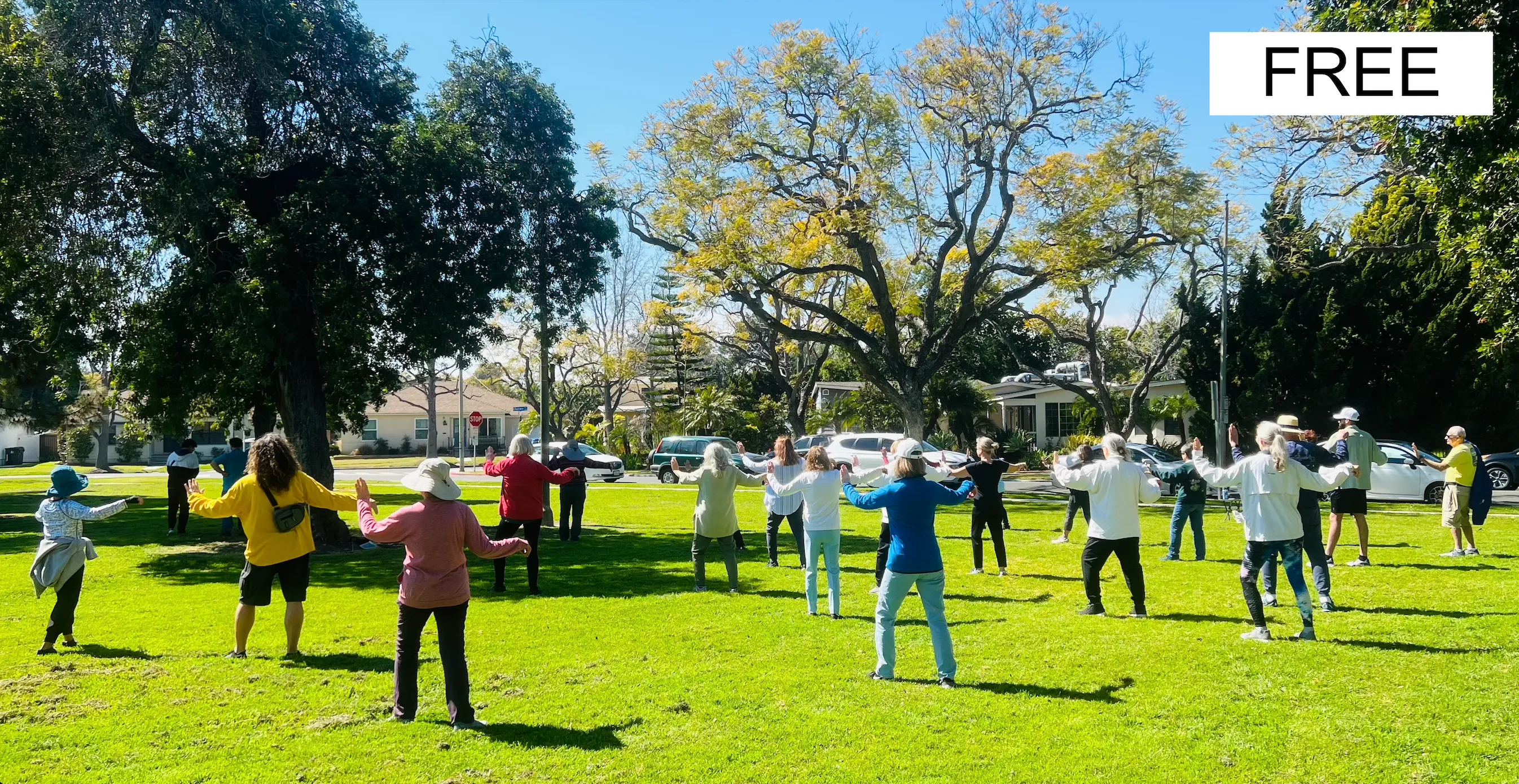 tai chi for beginners group in long beach on the grass on a sunny day