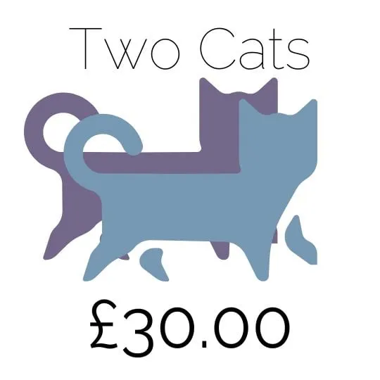 Price for two cats at Amberlodge