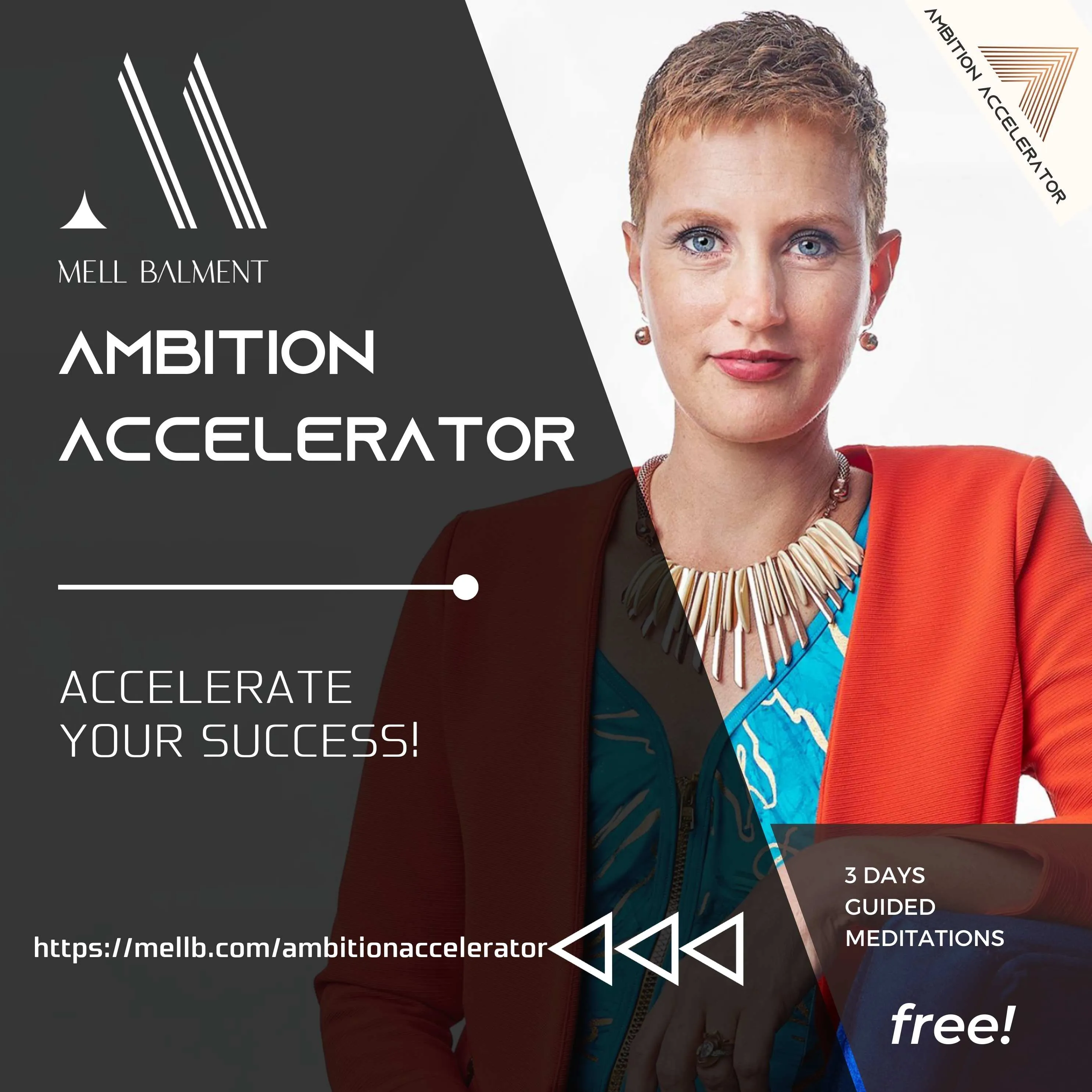 Ambition Accelerator | Mell B - Graphic 2
