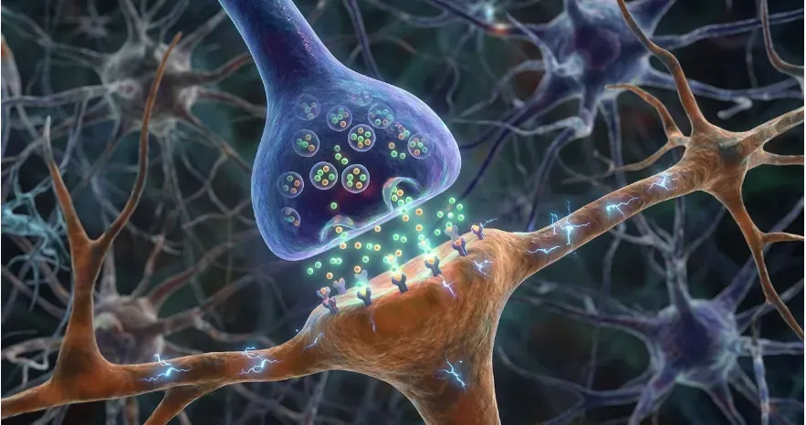 Close-up visualization of neurons sending chemical signals across synapses representing brain communication