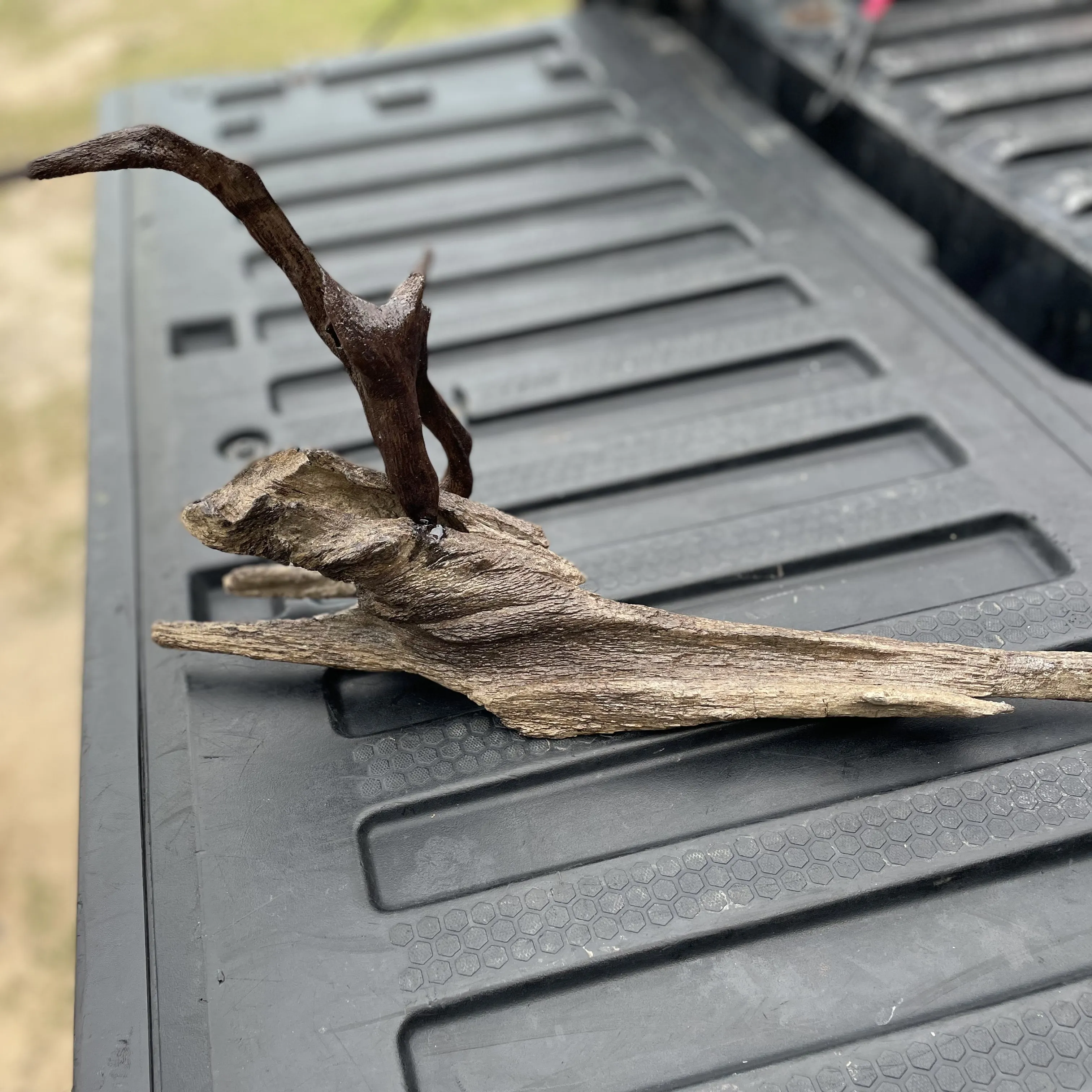 driftwood humming bird piece