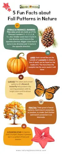 5 Fun Facts About Fall Patterns in Nature