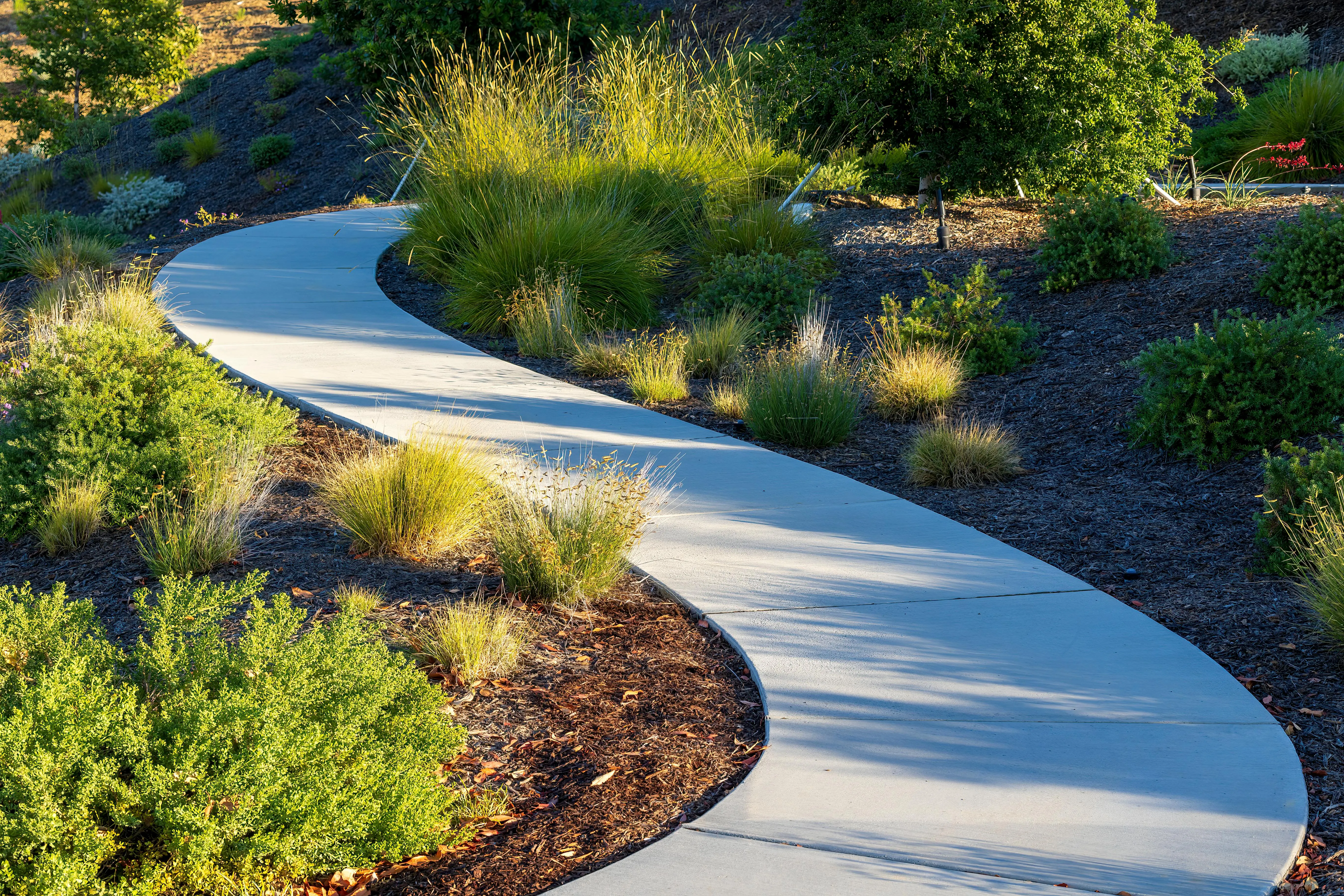 Let's find your path for transformation