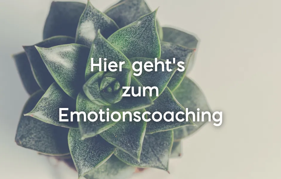 Emotionen Coaching