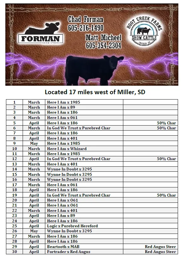 Forman Show Steers - Boot Creek Farms Show Cattle Pasture Sale 2022