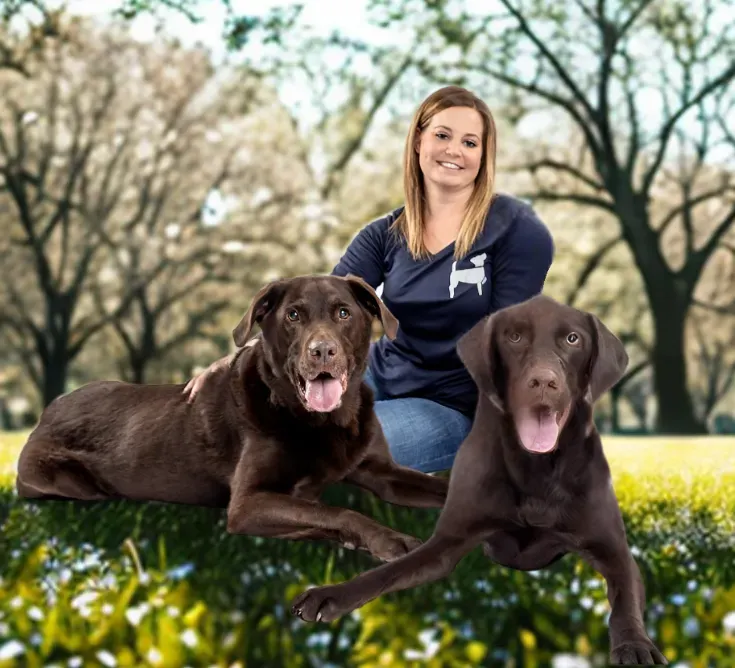 Professional dog trainer Jena Newman training two chocolate Labs during a private in-home session in Northwest Arkansas park setting.