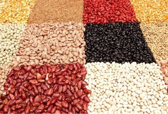 A display of a colorful assortment of beans and legumes.