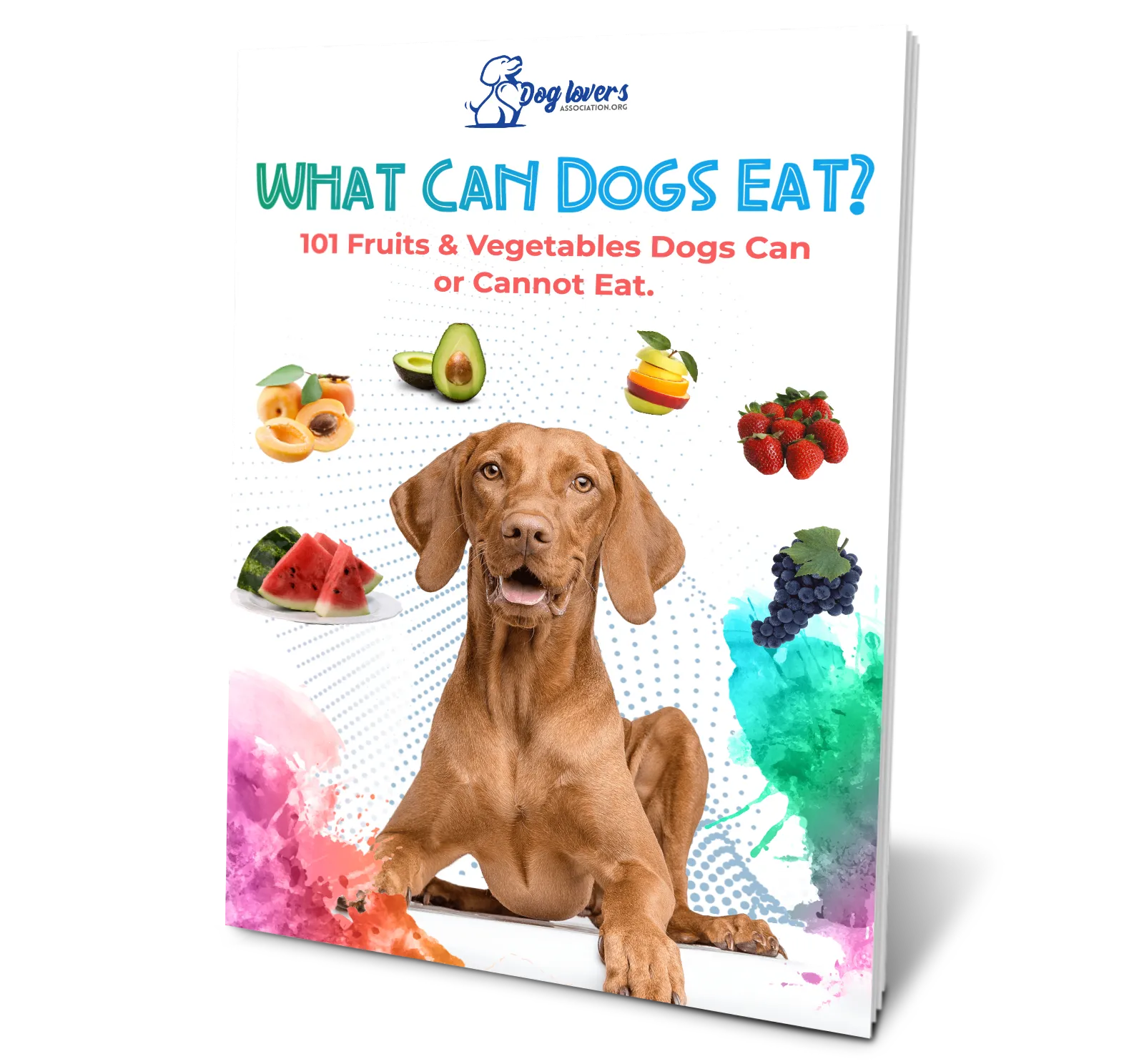 What Dogs Can Eat Checklist