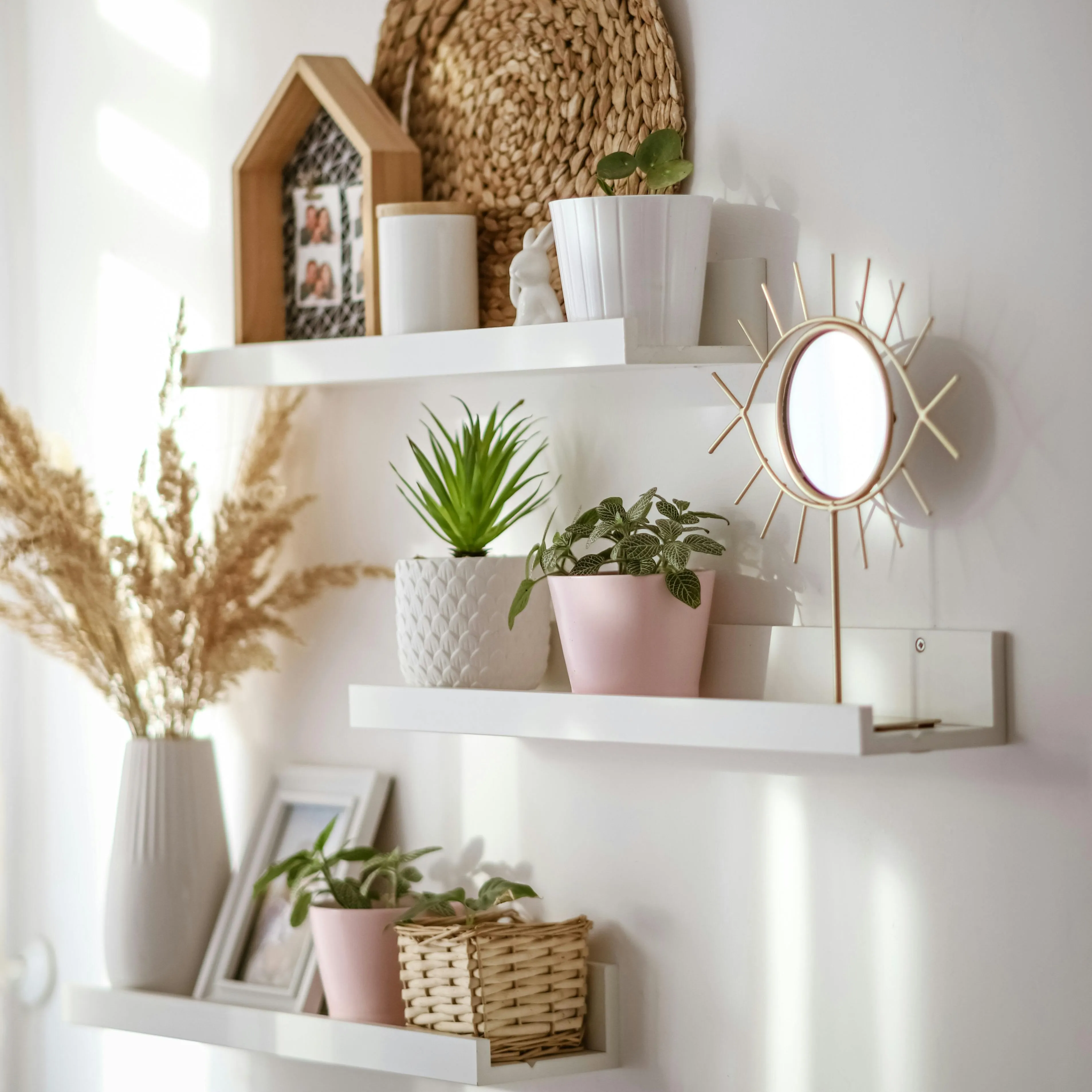 Shelf with subtle decor and indoor plants