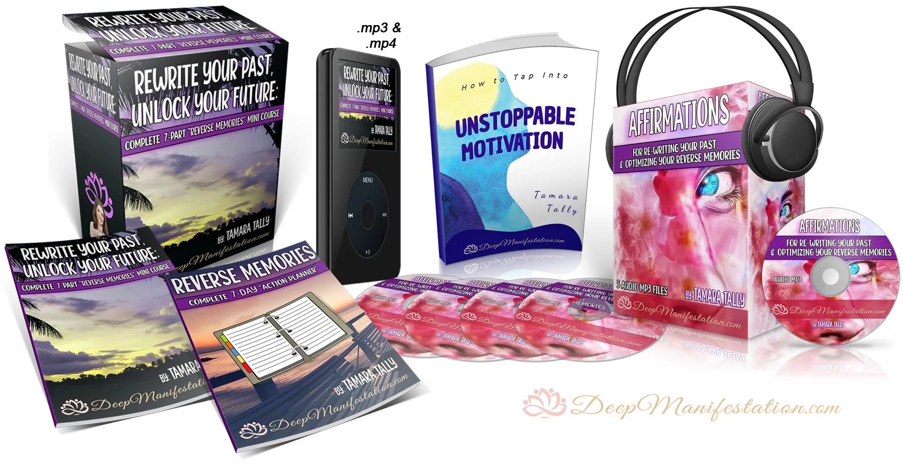 Reverse memories Minicourse Tamara Tally