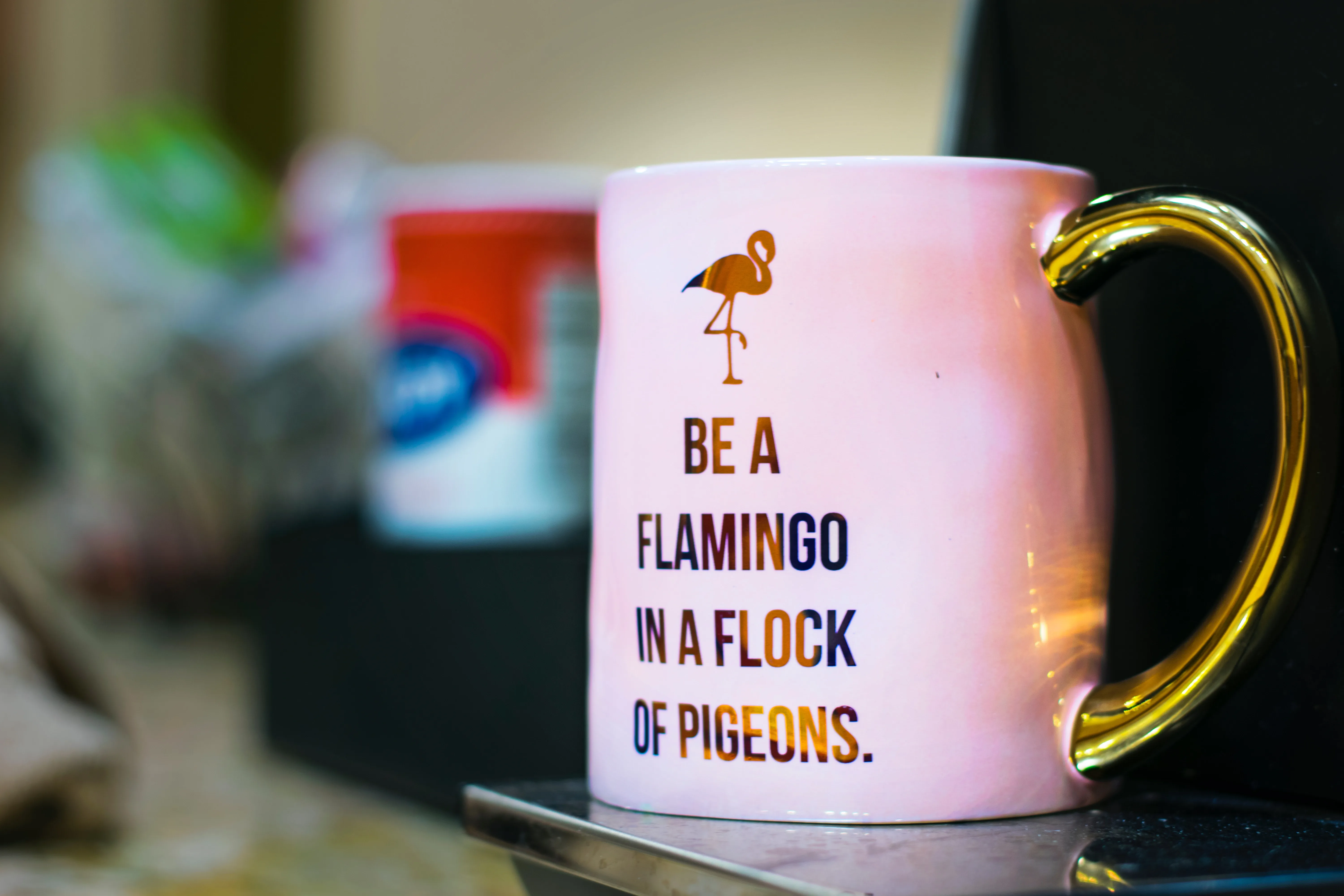 be a flamingo in a flock of pigeons