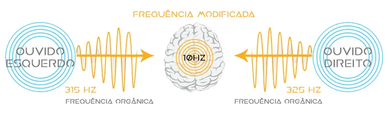 Frequência Modificada - Cérebro Harmônico